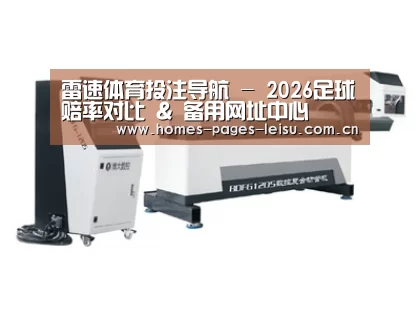 案例展示四