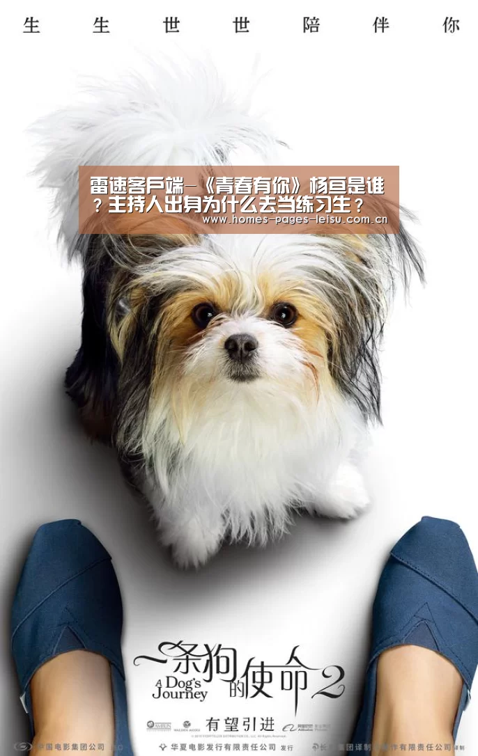 赛事直播APP