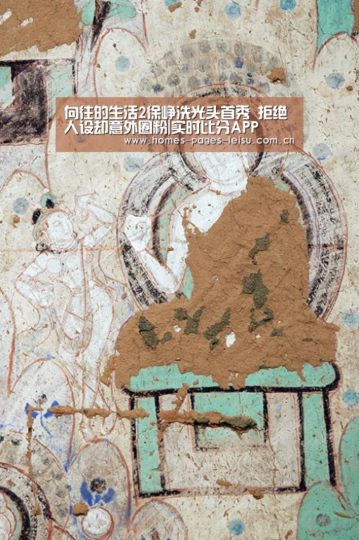 向往的生活2徐峥洗光头首秀 拒绝人设却意外圈粉|实时比分APP