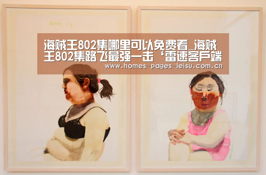 体育数据APP